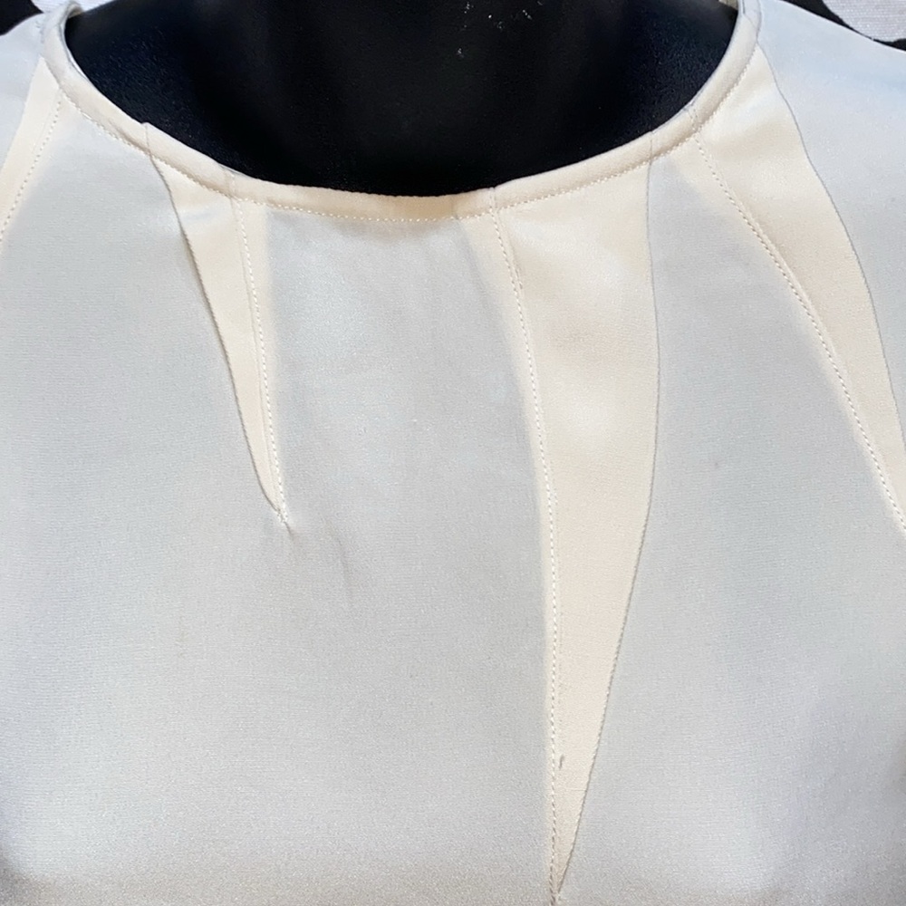 SILK MARISSA WEBB CREAM LONG CHIFFON SLEEVE BLOUSE SZ 8 - Picture 2 of 13